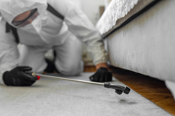 Professional Bed Bug Control technician working in Lake Bryan, TX